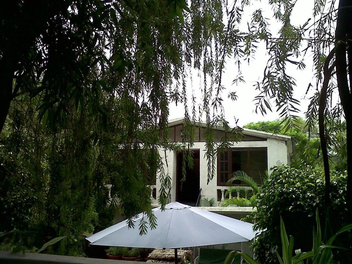 Siswan Jungle Lodge Baddi Eksteriør billede